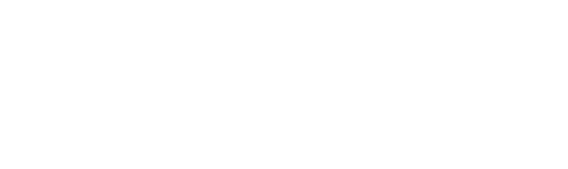 American Family Insurance